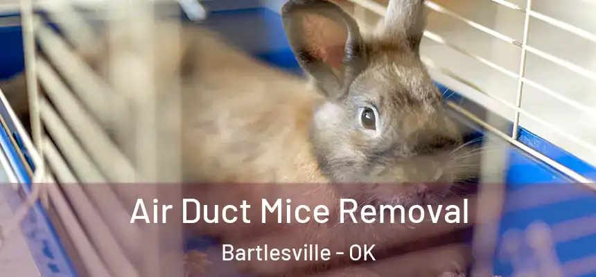 Air Duct Mice Removal Bartlesville - OK