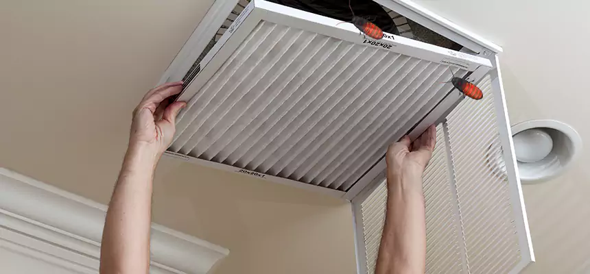 Our Insect Removal from Air Ducts Services in Bartlesville, OK