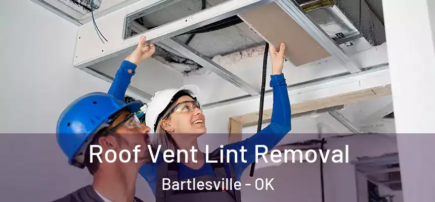  Roof Vent Lint Removal Bartlesville - OK