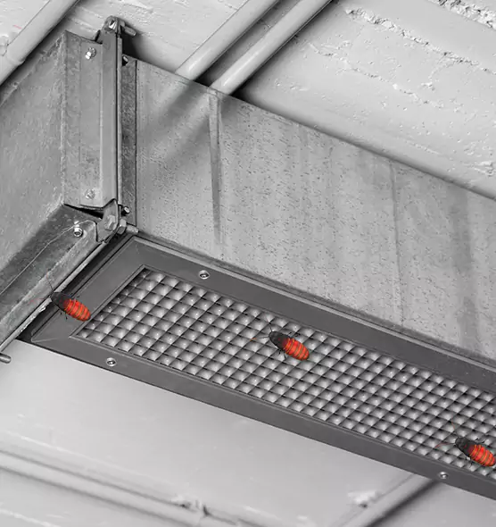 Affordable Insect Removal from Air Ducts in Bartlesville, OK