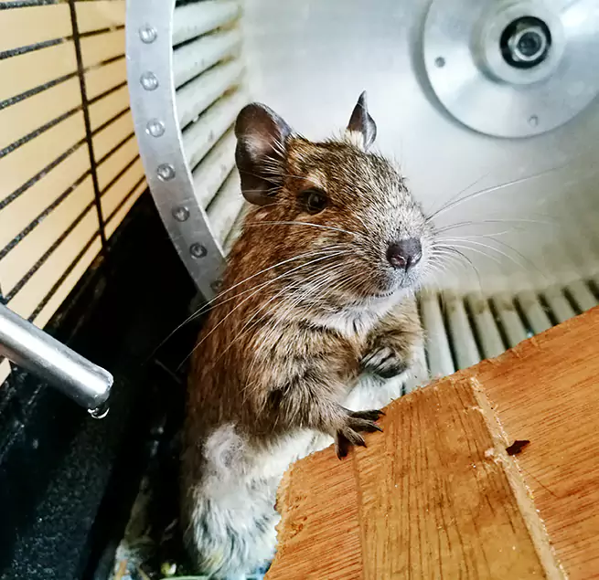 Why Homeowners & Businesses Trust Us Bartlesville, OK?